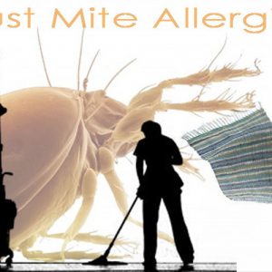 Cleaning Tips: Thinking Ahead of Dust Allergies