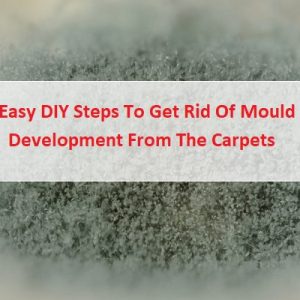 3 Easy DIY Steps To Get Rid Of Mould Development From The Carpets