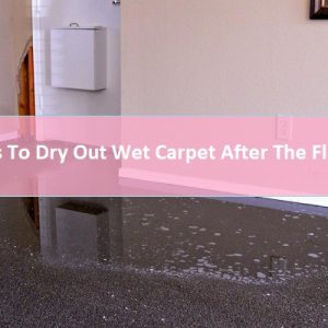 Best Tips To Dry Out Wet Carpet After The Flood