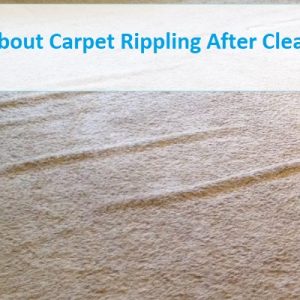 Facts About Carpet Rippling After Cleaning