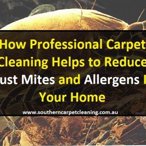 How Professional Carpet Cleaning Helps to Reduce Dust Mites and Allergens In Your Home