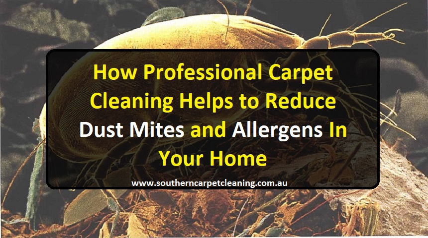 How Professional Carpet Cleaning Helps to Reduce Dust Mites and Allergens In Your Home