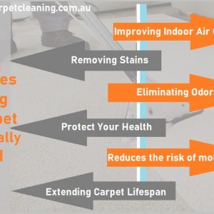 7 Advantages of Having Your Carpet Professionally Cleaned