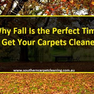 Why Fall Is the Perfect Time To Get Your Carpets Cleaned?