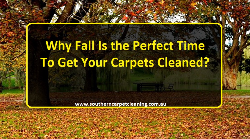 Why Fall Is the Perfect Time To Get Your Carpets Cleaned?