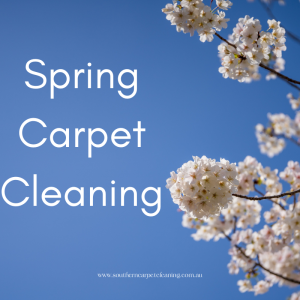 The Ultimate Guide to Spring Carpet Cleaning: Refreshing Your Home for the Warmer Months