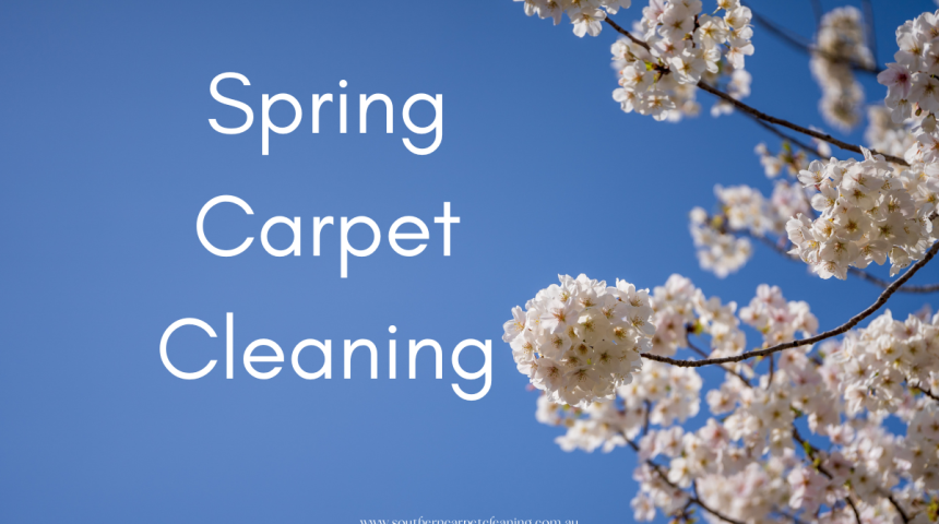 The Ultimate Guide to Spring Carpet Cleaning: Refreshing Your Home for the Warmer Months