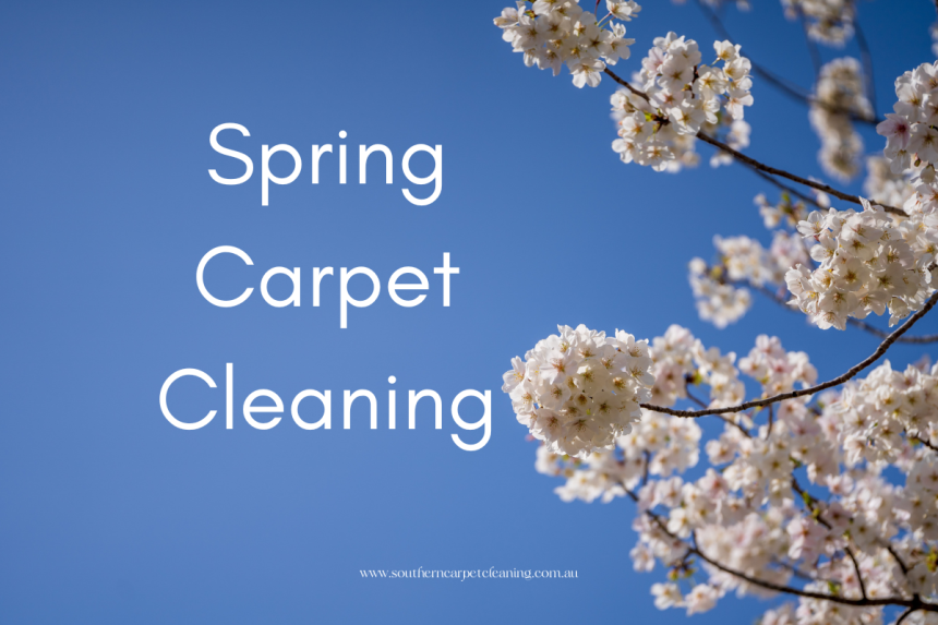 The Ultimate Guide to Spring Carpet Cleaning: Refreshing Your Home for the Warmer Months