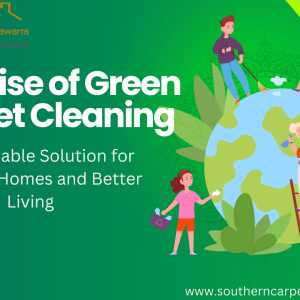 The Rise of Green Carpet Cleaning- A Sustainable Solution for Healthier Homes and Better Living