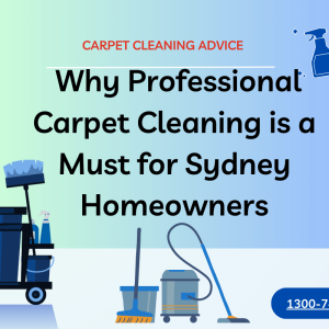 Why Professional Carpet Cleaning is a Must for Sydney Homeowners